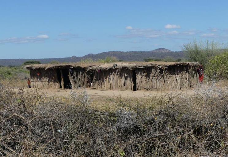 Typical Datoga huts