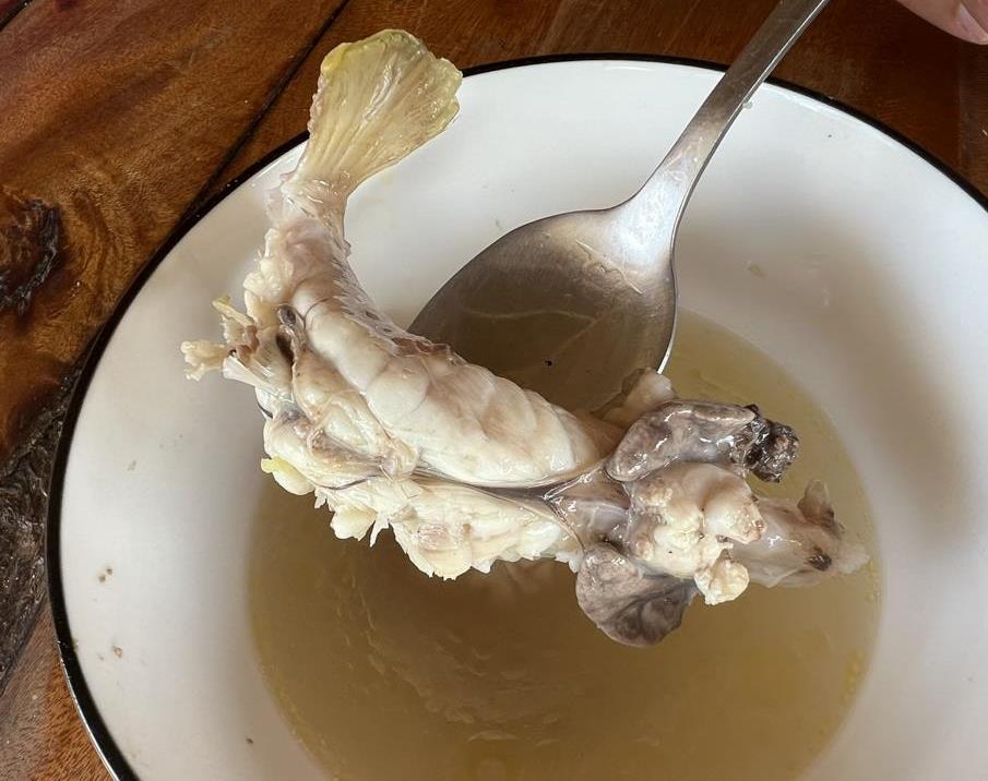 Porcupinefish cooked in a soup at Zanzibar