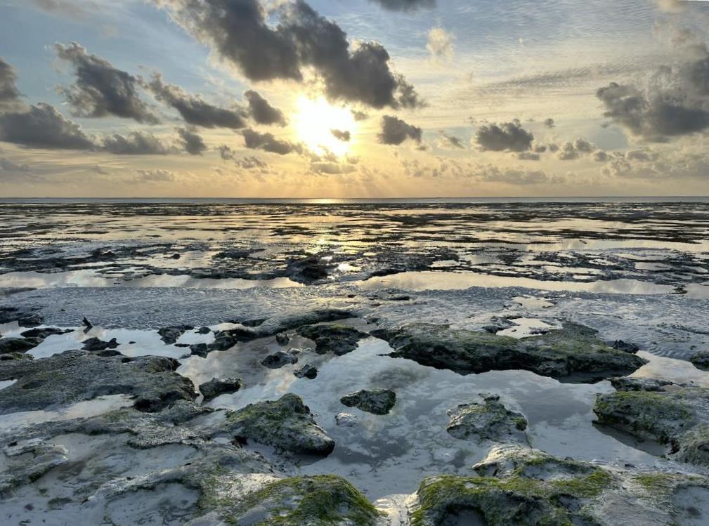 Zanzibar intertidal flats