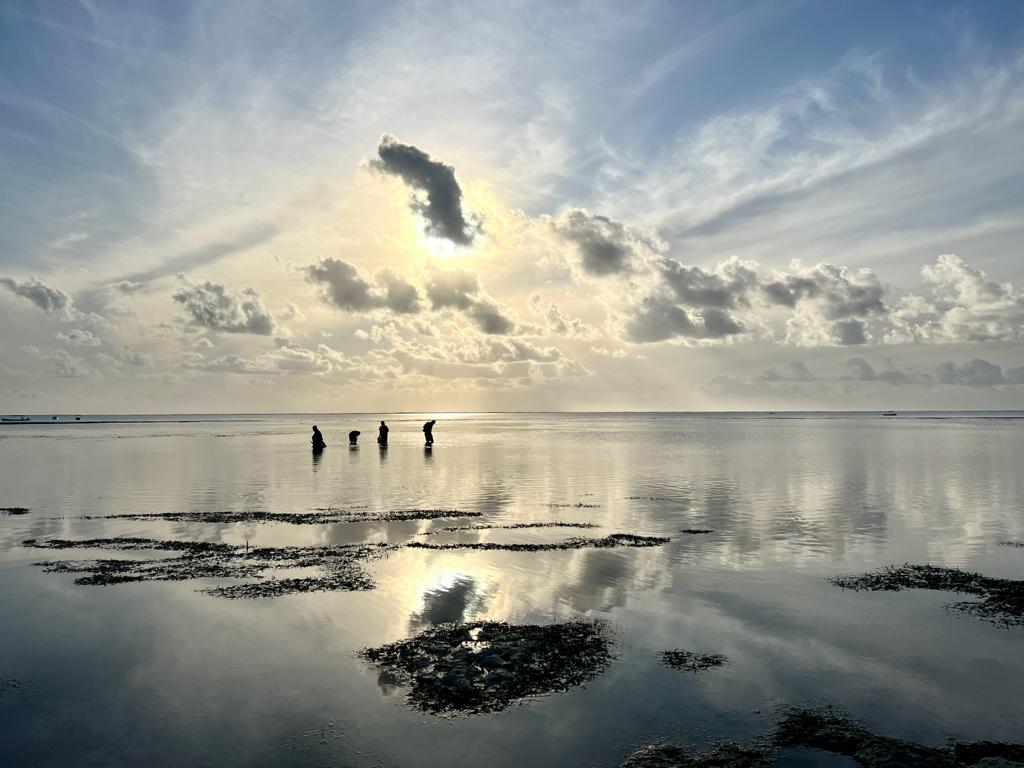 Beachcombing at Zanzibar island