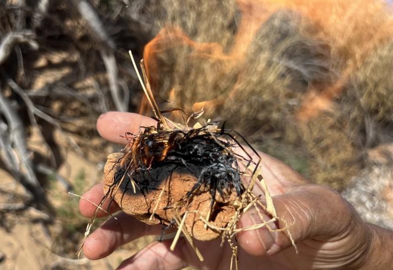 Open fire created with a magnifyinig glass