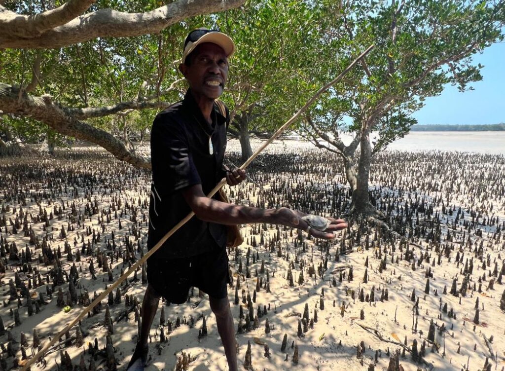 A Bardi Aboriginal showing a mangrover oyster