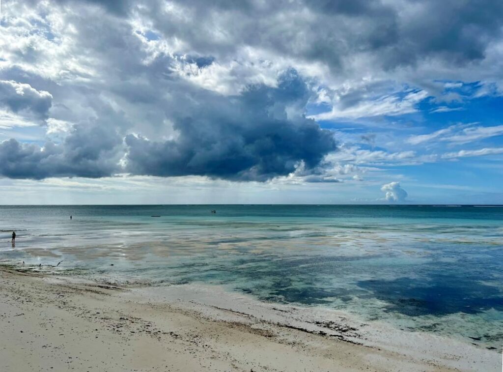 Intertidal flats in Zanzibar