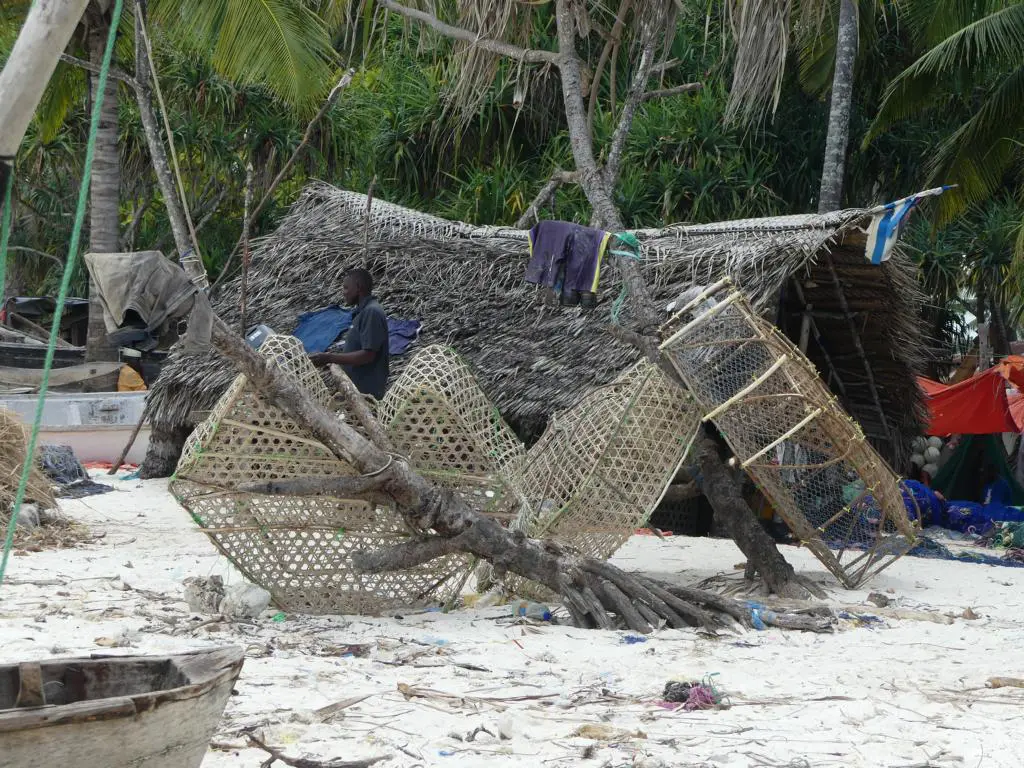 bamboo fishing net africa Basket fish traps at the seashores of Eastern Africa
