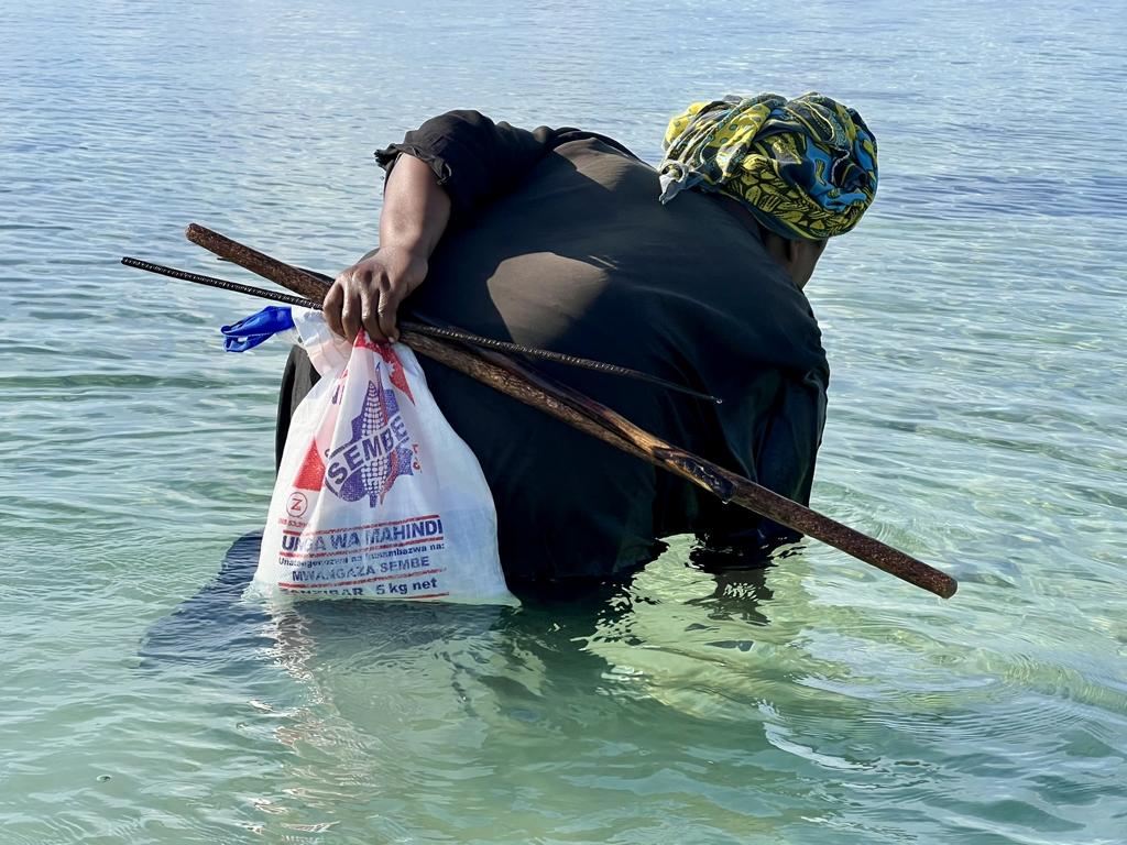 Female coastal forager collecting seafood at Zanzibar