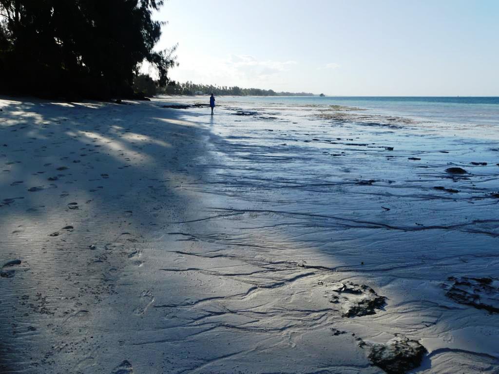 Sandy beach at low tide in Zanzibar