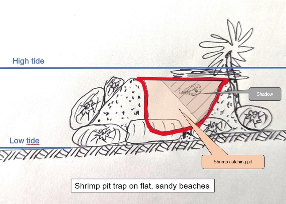 Shrimp pit trap on flat, sandy beaches.
