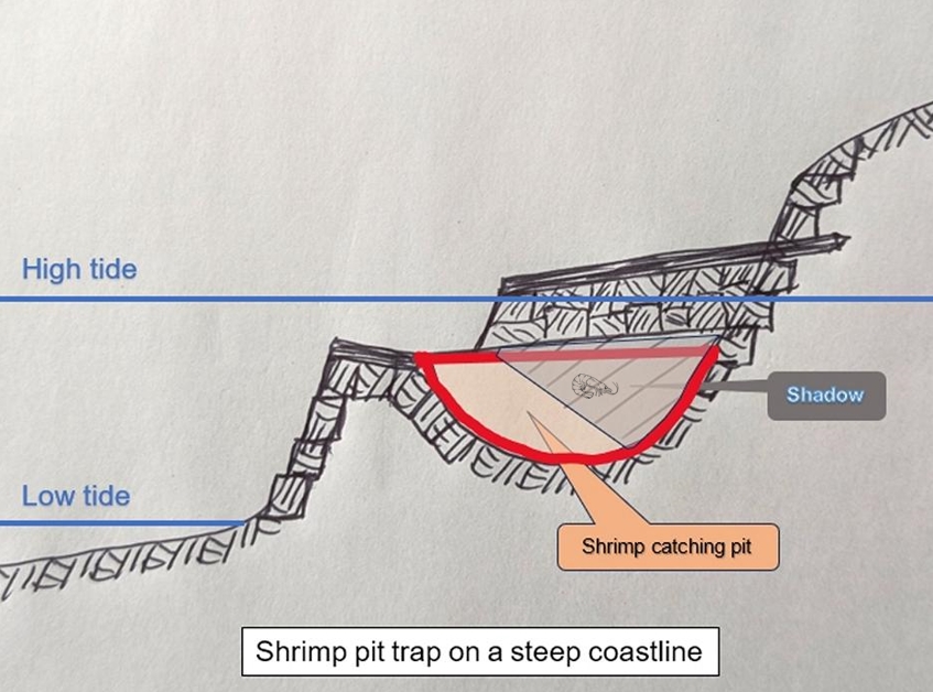 Sketch of a shrimp pit trap on a steep coastline.