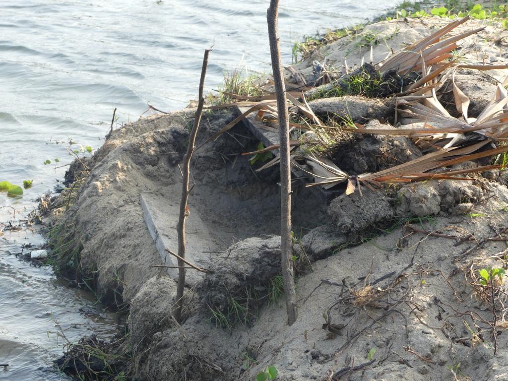 Shrimp pit trap with a reinforced wooden plank at the entrance.