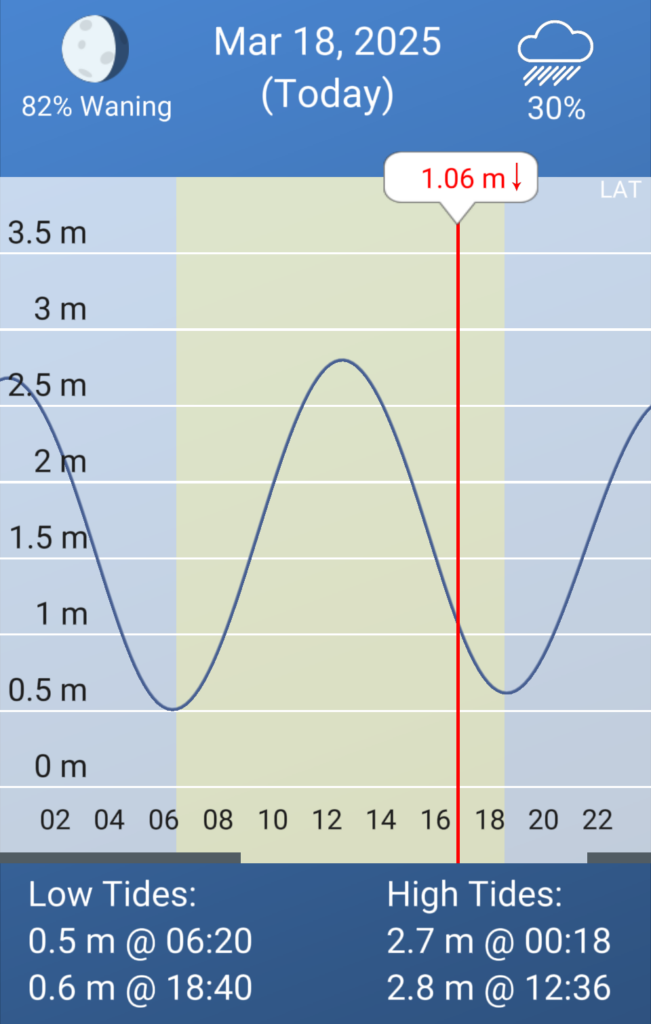 Tide App for the date and time of the Venus clam gathering.