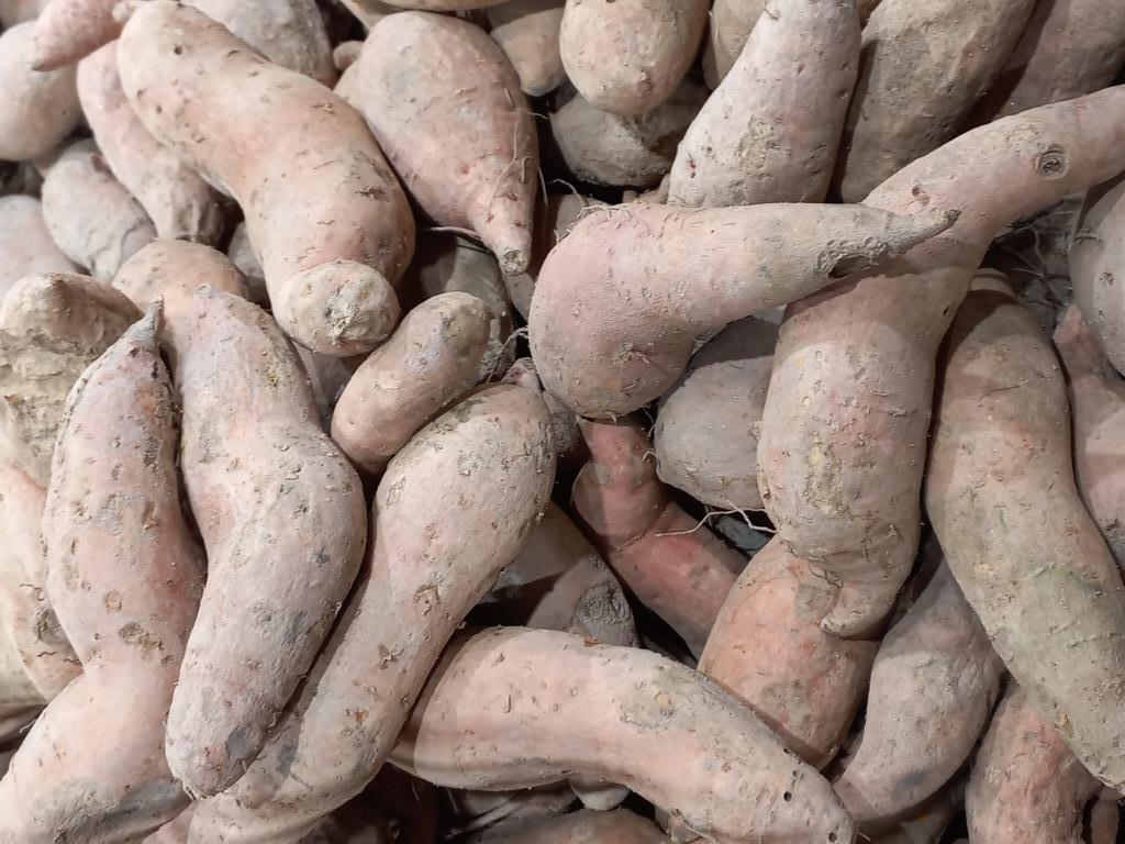 Sweet potato tubers on a fresh market.