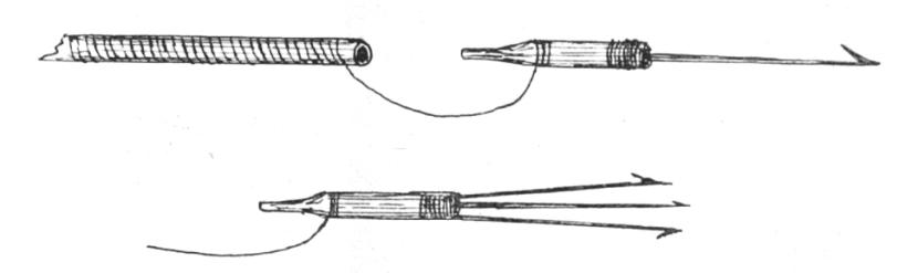 Arrow tips for fishing
