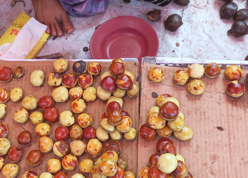 Jengkol seeds and pods at a wet market in Padang.