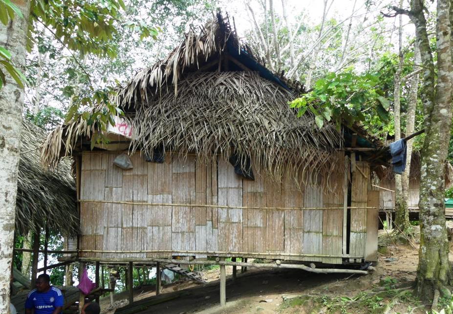 A typical simple Jahai hut