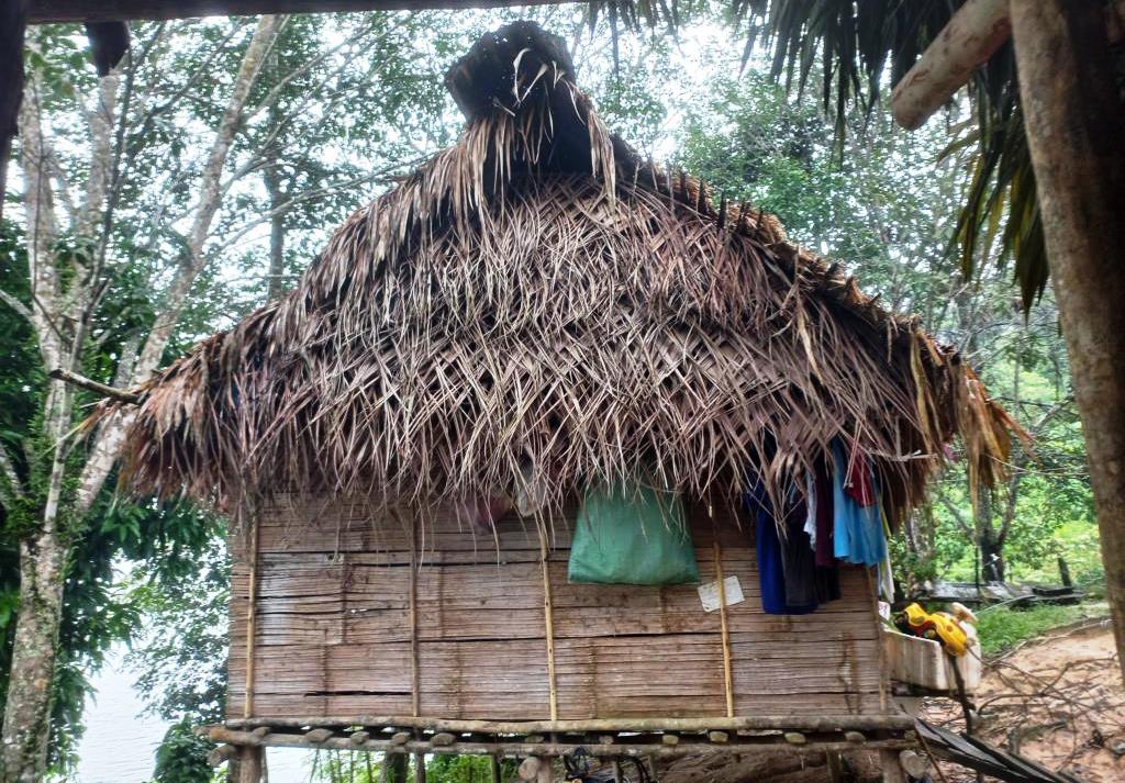 Simple Jahai hut with horizontal bamboo panels