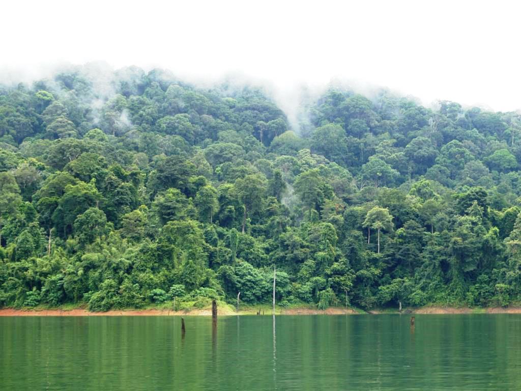 Royal Belum State Park Perak Malaysia