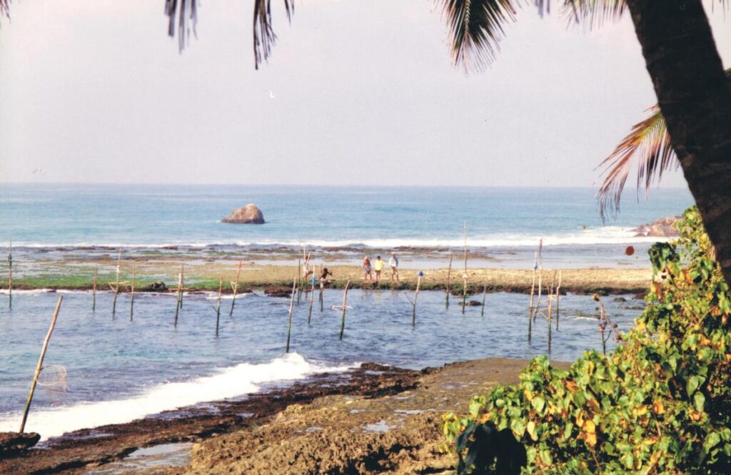 Historical picture of stilt fishing at Weligama from 1995