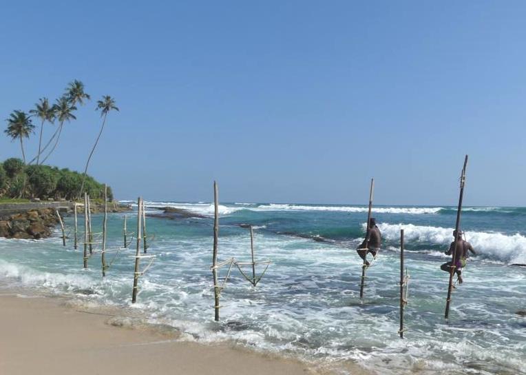 Stilt fishermen near Koggala