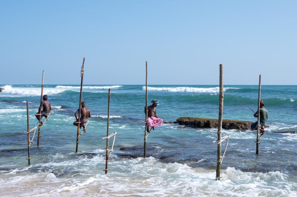 Stilt fishing near Koggala