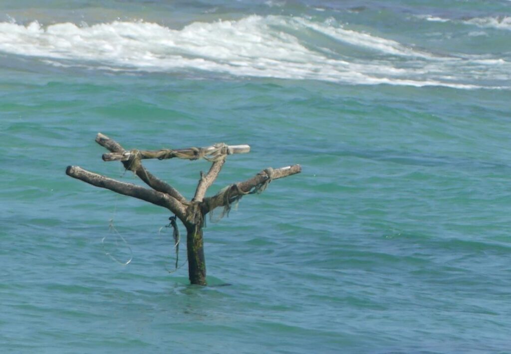 Irregular shaped platform for stilt fishing