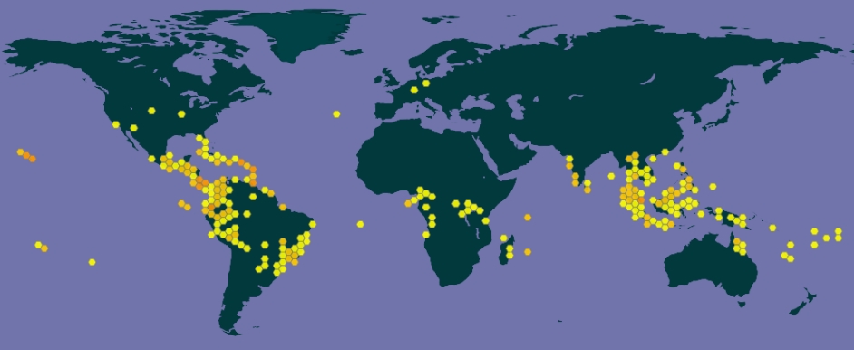 Distribution map of Etlingera elatior. Map © GBIF