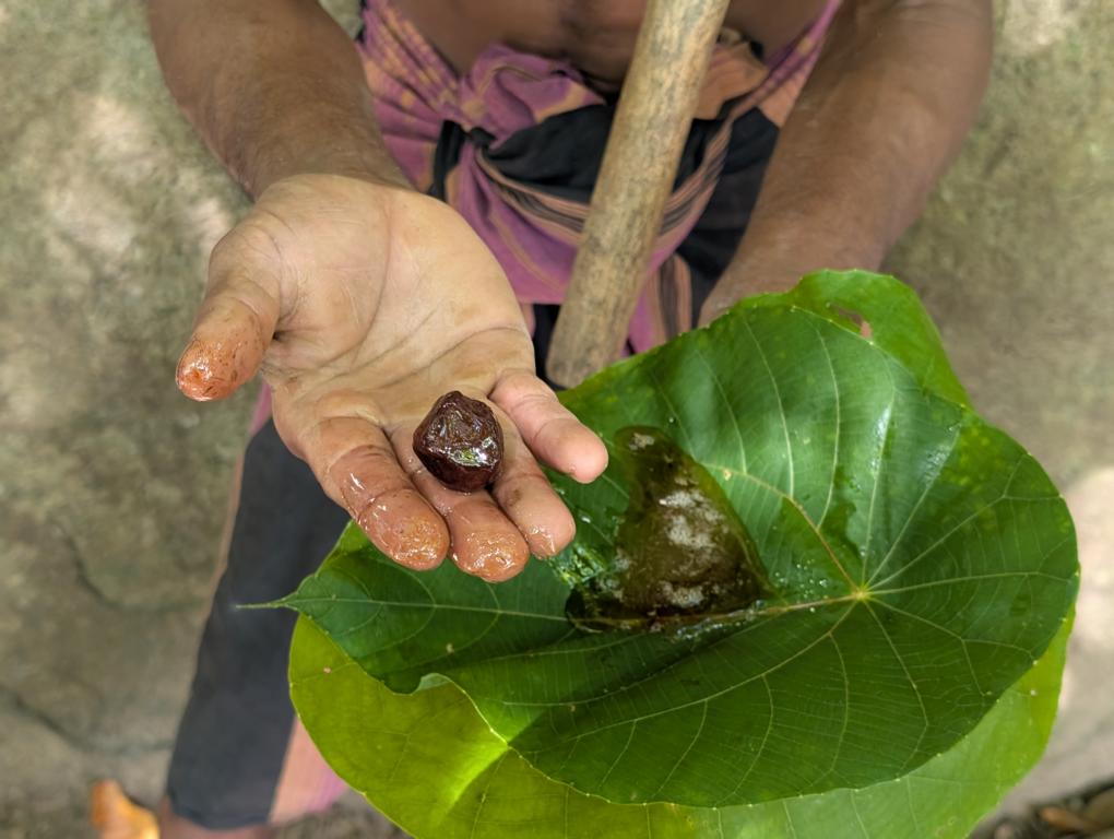 The remaining cerumen after aqueezing out all honey from of pod