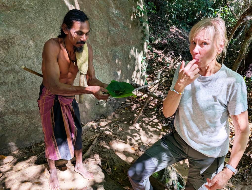 Tasting Dammar stingless bees honey