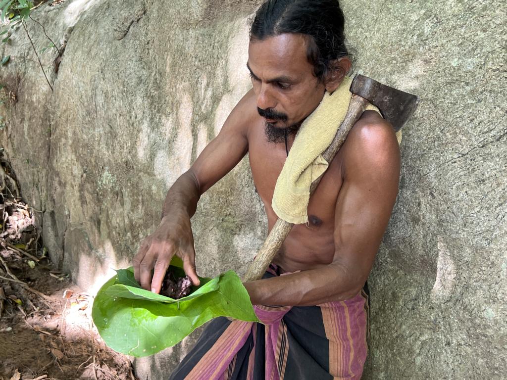 Squeezing the honey pod