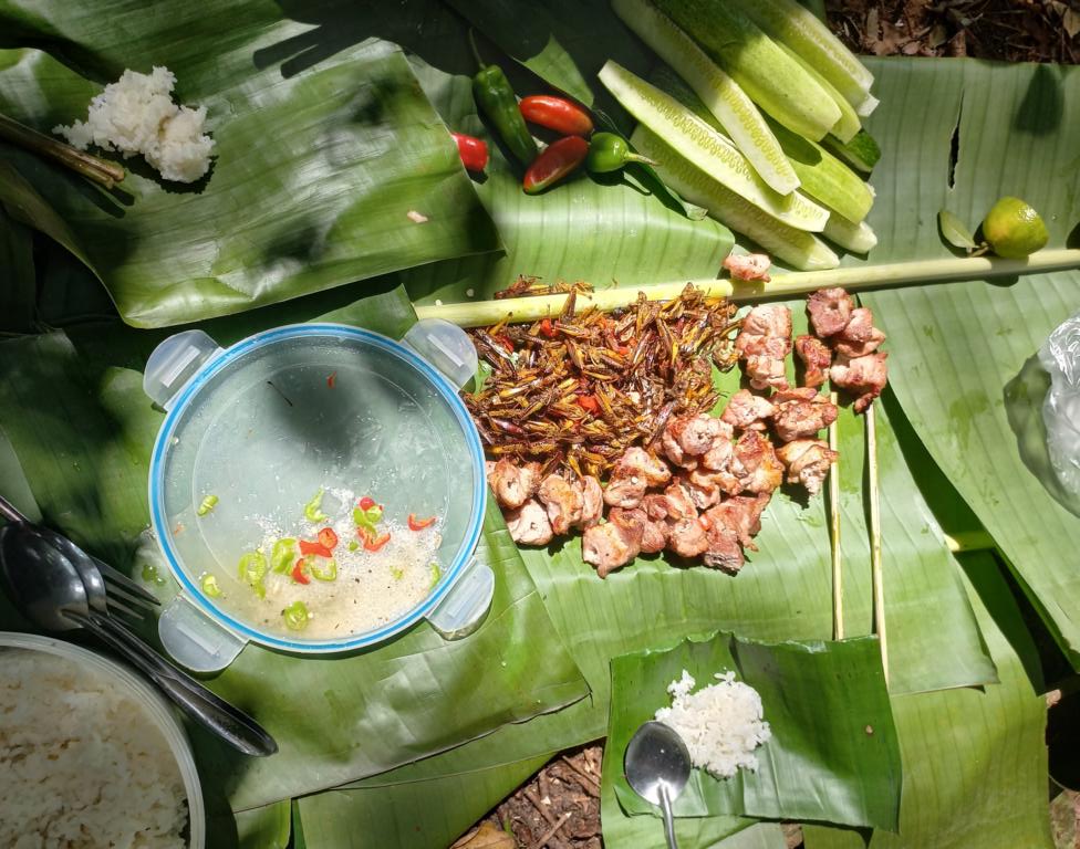 Typical snack in the rainforest