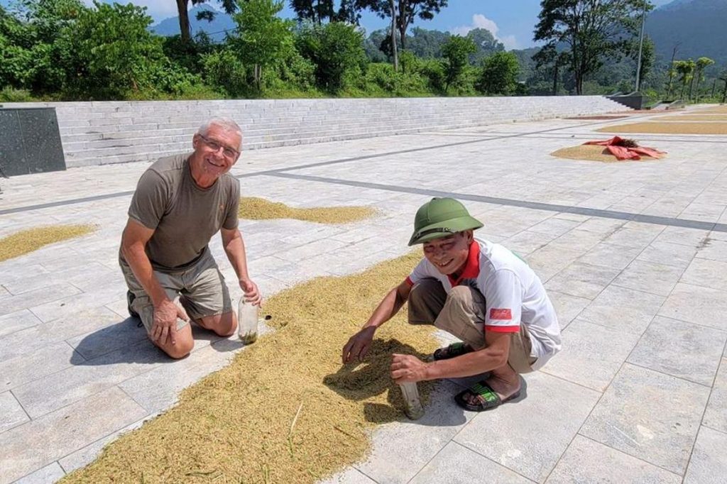 Catching grasshoppers from mechanically harvested rice