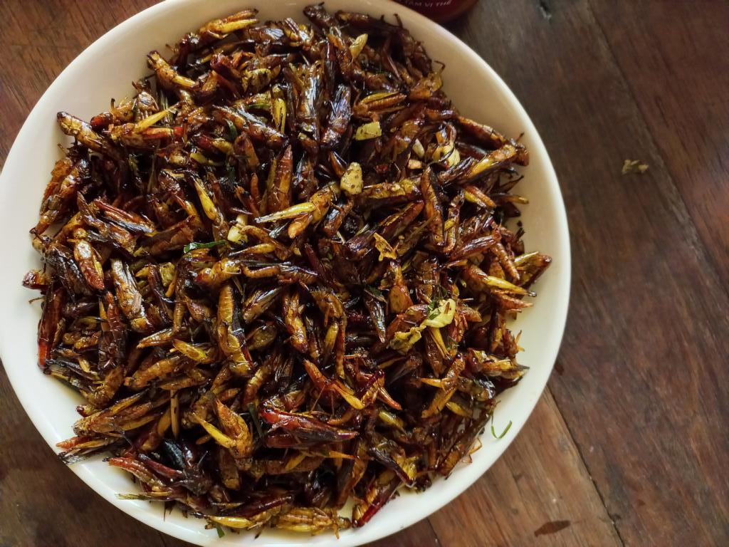 Finished stir-fried dish