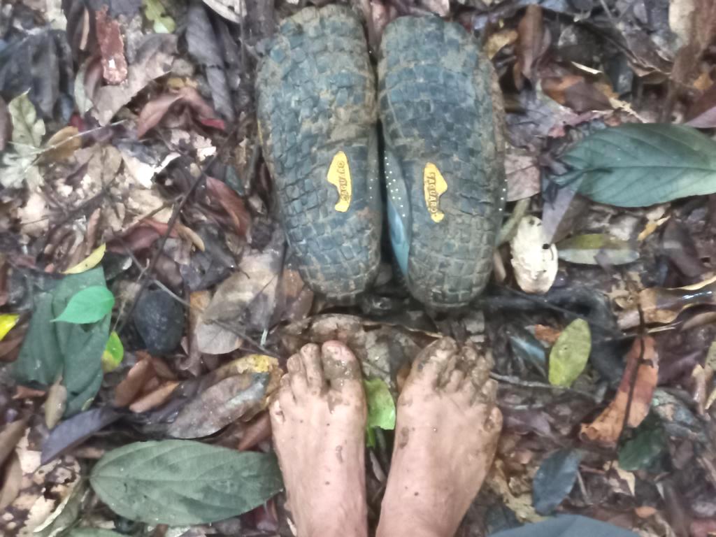 Barefoot shoes as jungle footwear