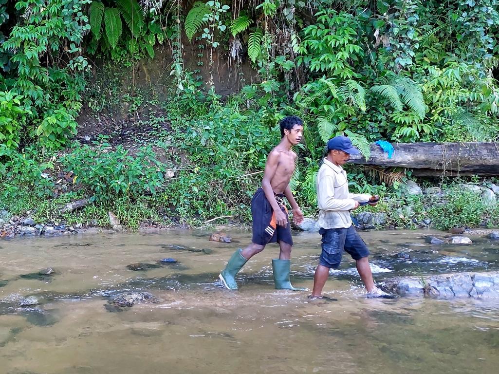 Jungle footwear