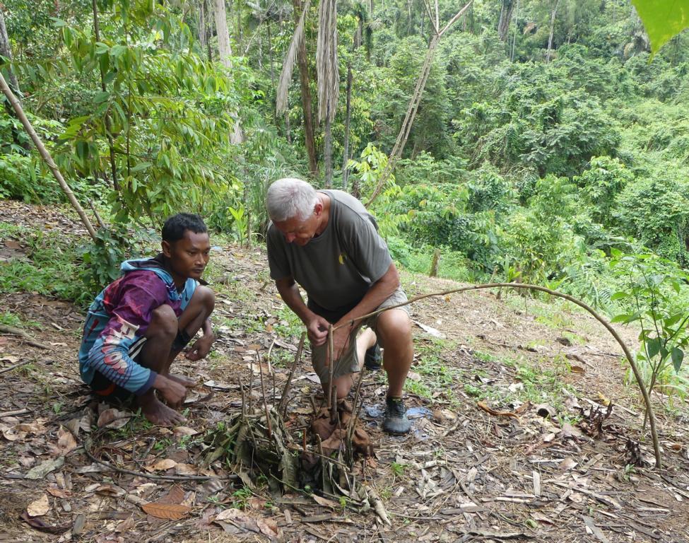Setting up the spring pole snare trap with an Orang Rimba