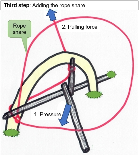 Third step of building a spring pole snare trap