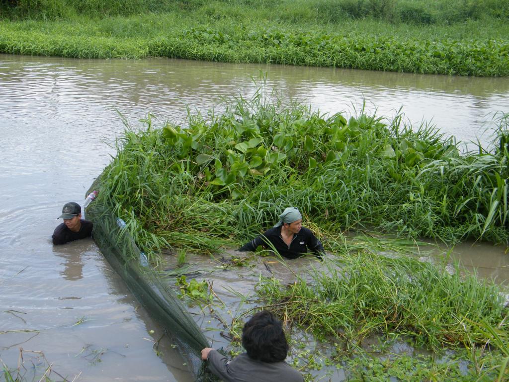 Organizing a symetric pull of the surrounding seine net