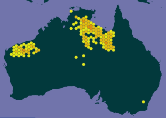 Geographical distribution of White-bark Snappy Gums.