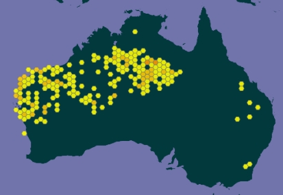 Geographical distribution of Little Ghost Gums. 