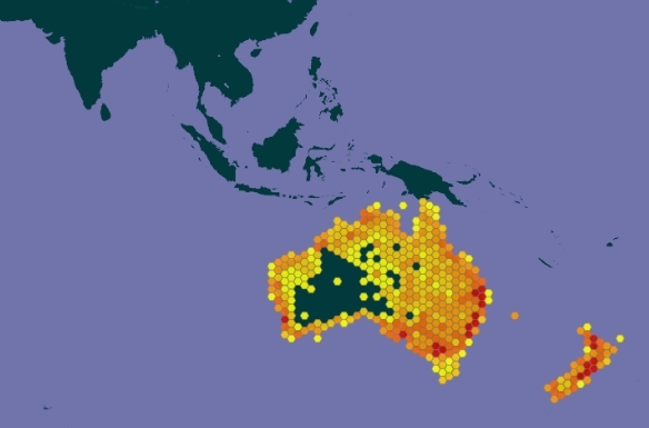 Geographical distribution of Pied cormorants. © GBIF
